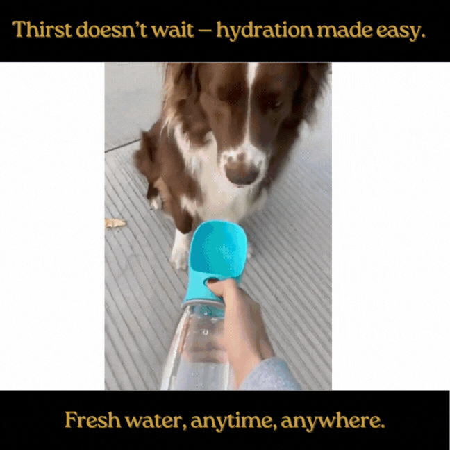 AquaPaw™ — Hydration in Every Step.