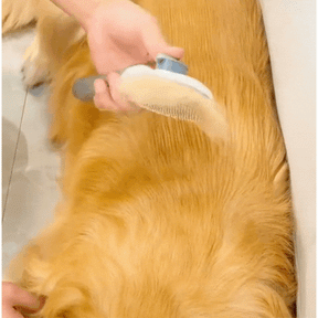 NobleBrush™ — Designed for Comfort. Crafted for Care.