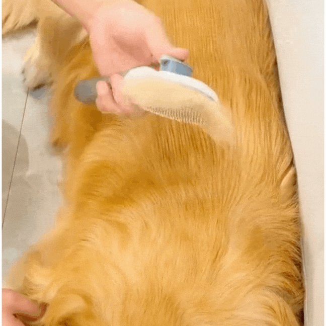 NobleBrush™ — Designed for Comfort. Crafted for Care.