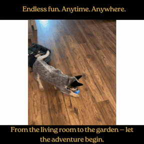 LumoBall™- Smart play, endless joy