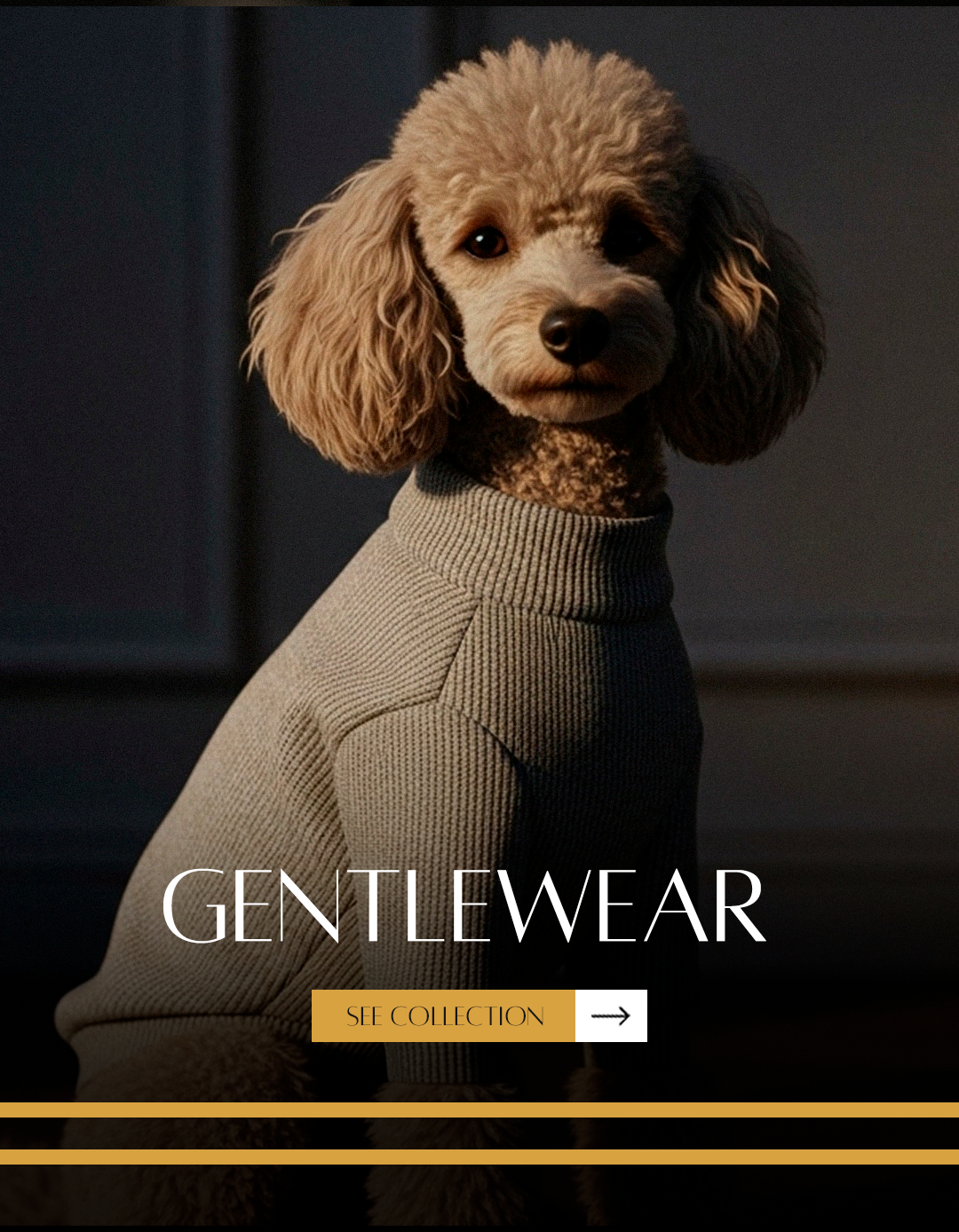 section.settings.img_banner