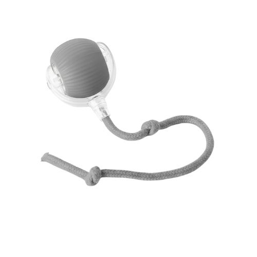 PurrMotion™ - Play that moves. Minds that stay sharp.