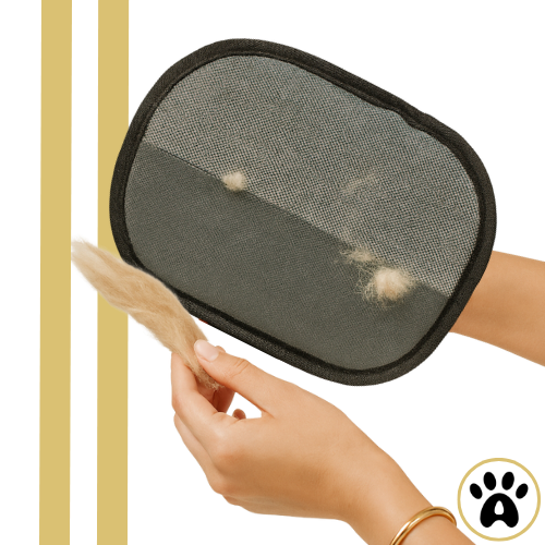 PAWLIFT™ — The Glove That Removes Pet Hair Instantly.