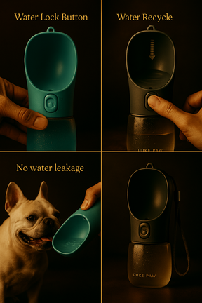 AquaPaw™ — Hydration in Every Step.